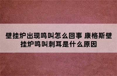 壁挂炉出现鸣叫怎么回事 康格斯壁挂炉鸣叫刺耳是什么原因